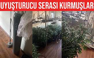 Villaya uyuşturucu serası kurmuşlar