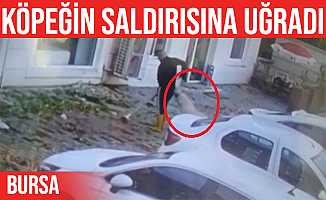 Bursa'da kaldırımı temizlerken köpek saldırdı