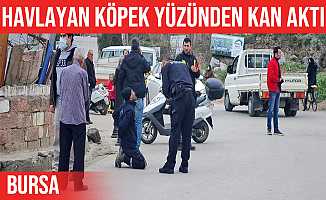 Bursa'da köpek havlıyor diye komşusunu sırtından bıçakladı