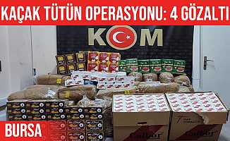 İnegöl'de kaçak tütün operasyonu