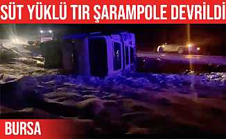 İznik'te süt yüklü Tır şarampole devrildi