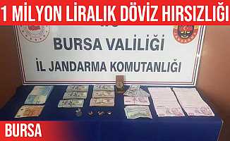 Mudanya'da bakıcılık yaptığı evden bir milyonluk döviz çaldı