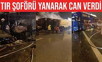 Tır şoförü yanarak hayatını kaybetti