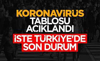 Türkiye Korona Virüs Tablosu: 20 Ocak 2022