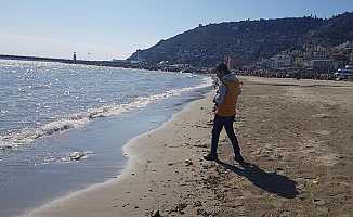 Alanya'da deniz anaları sahile vurdu