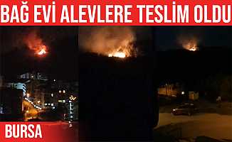 Mudanya'da bağ evinde yangın çıktı