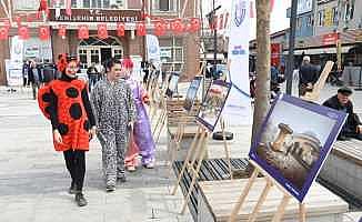 Fotoğraflarla Yenişehir sergisine yoğun ilgi