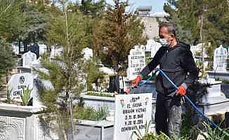 Siirt’te mezarlıklarda ilaçlama çalışması