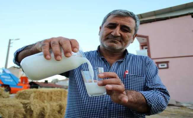 Eşek Sütü Anne Sütüne Rakip