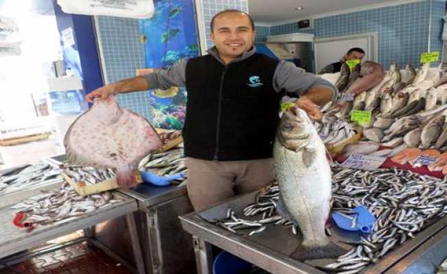 Mudanyada balık bereketi