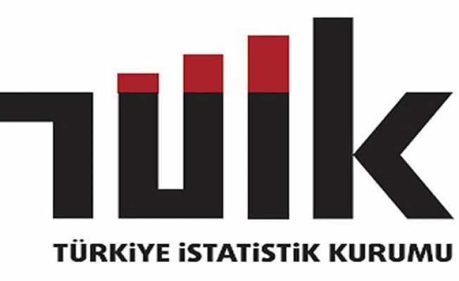 TÜİK, gençlerin işgücü piyasasına geçişi araştırma sonuçlarını açıkladı