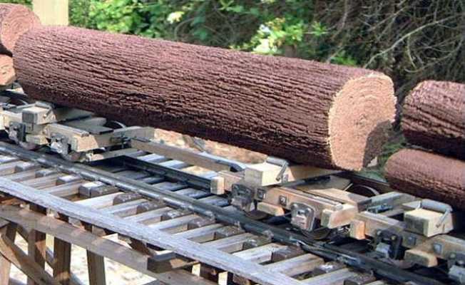 Ağaç ve orman ürünü ihracatçısının Libya sevinci