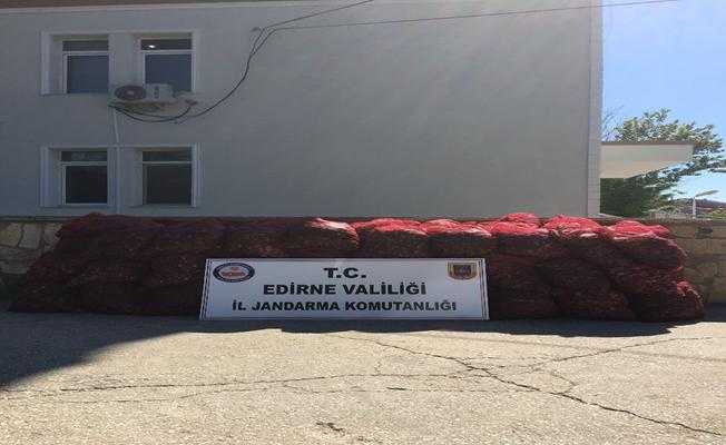 Edirne#039;de quot;kaçak midyequot; operasyonu