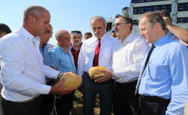 Mustafakemalpaşa ve Karacabey#039;deki dolu yağışı