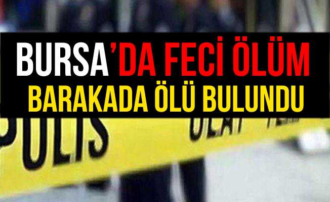 Bursa İznik#039;te Bir Şahıs Barakada Ölü Bulundu