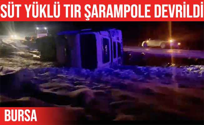 İznik#039;te süt yüklü Tır şarampole devrildi