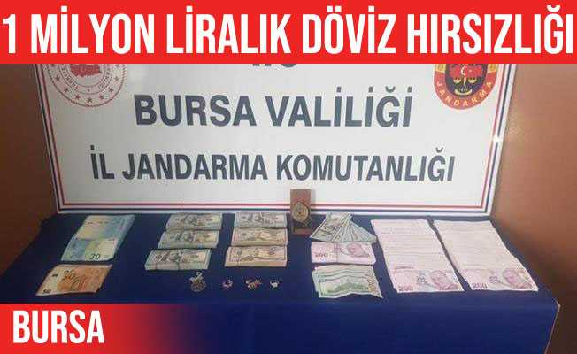 Mudanya#039;da bakıcılık yaptığı evden bir milyonluk döviz çaldı