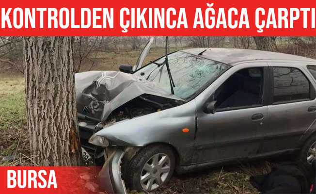 İnegöl#039;de yoldan çıkan otomobil ağaca çarptı