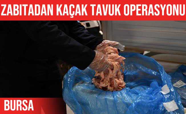 Osmangazi#039;de kaçak tavuk operasyonu
