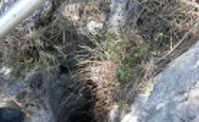 İtfaiyeden keçi kurtarma operasyonu