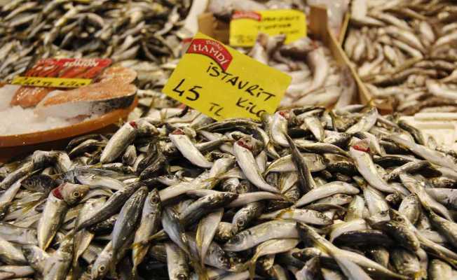 Marmarada etkili olan kar yağışı balık fiyatlarını uçurdu
