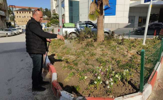 Samandağda çevre düzenlemesi çalışmaları