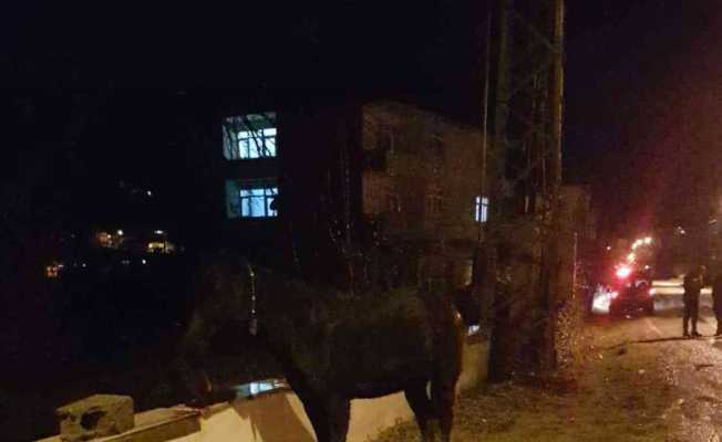Türkelide ticari taksi, yola fırlayan başıboş ata çarptı